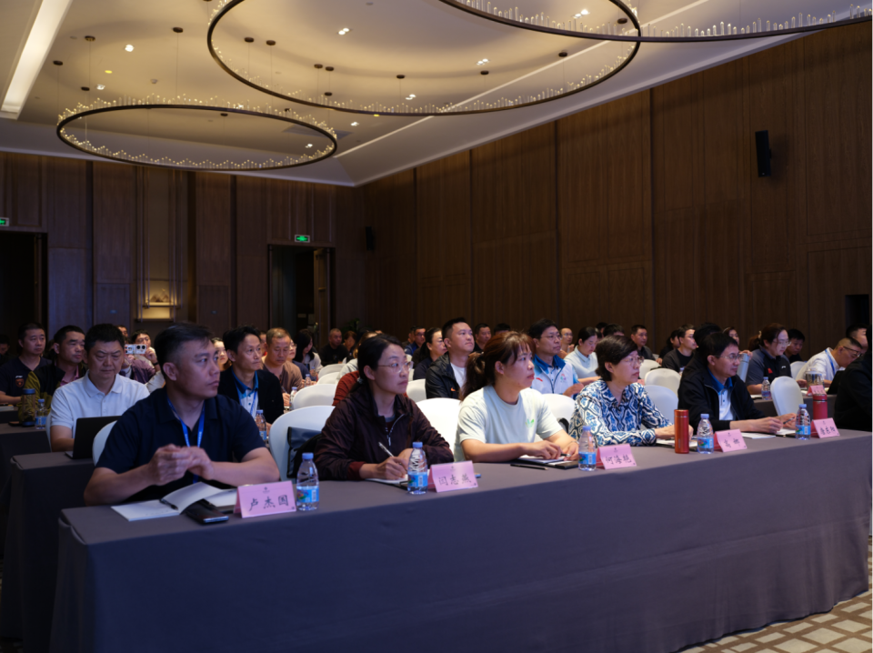 KVYAA, gtimg KVYAA, gtimg